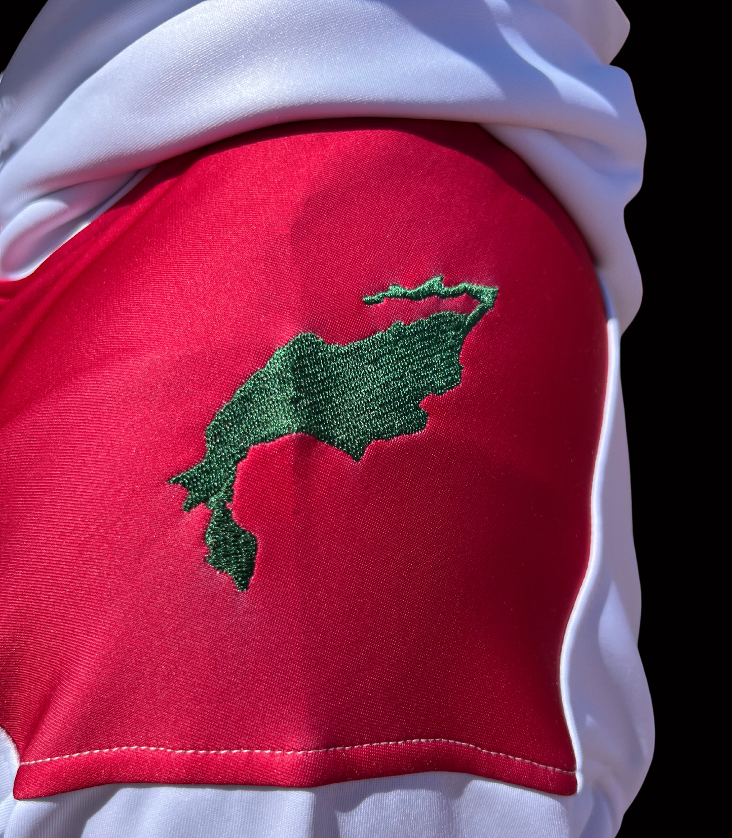 Mighty Eagles Hockey Hoodie