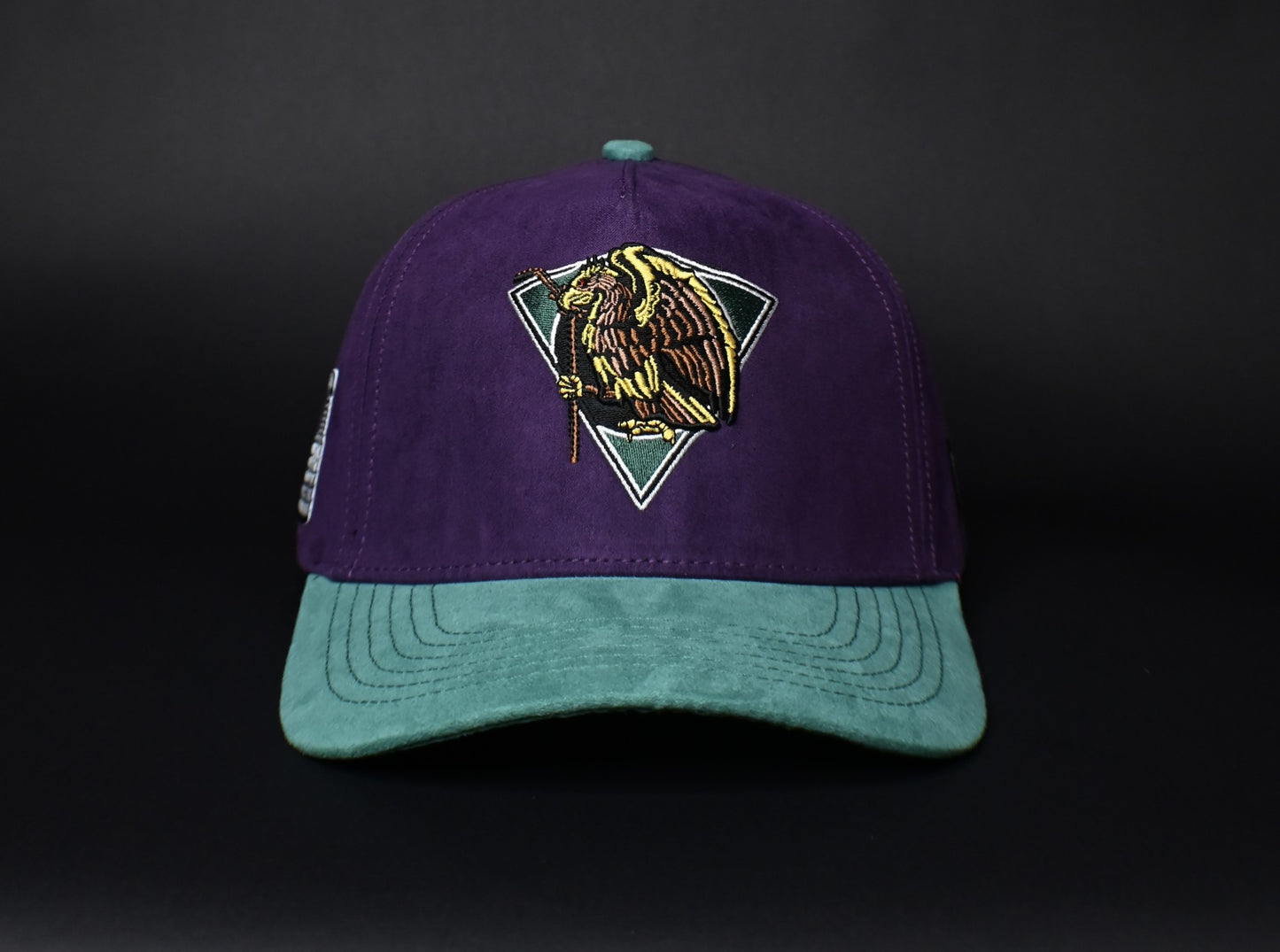 Mighty Eagles SnapBack