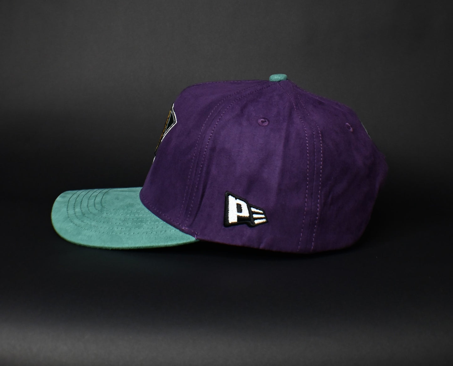 Mighty Eagles SnapBack