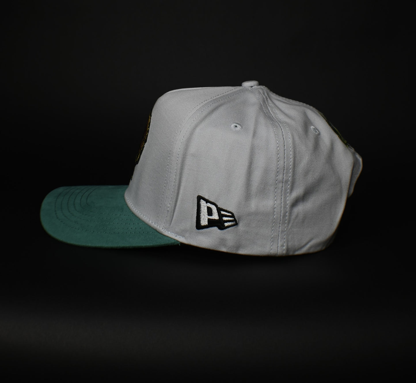 Fly High SnapBack