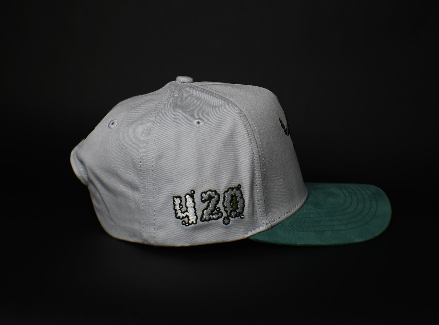 Fly High SnapBack