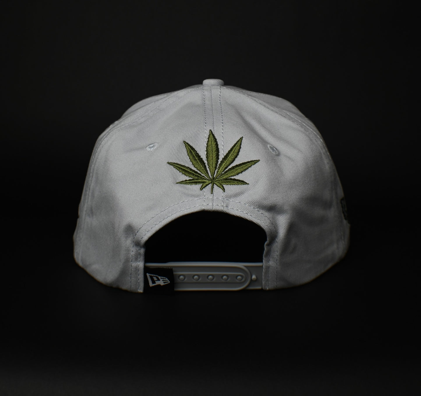 Fly High SnapBack