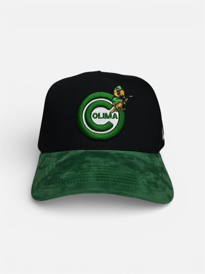 PERICOS DE COLIMA 🦜🌋🥥🌴