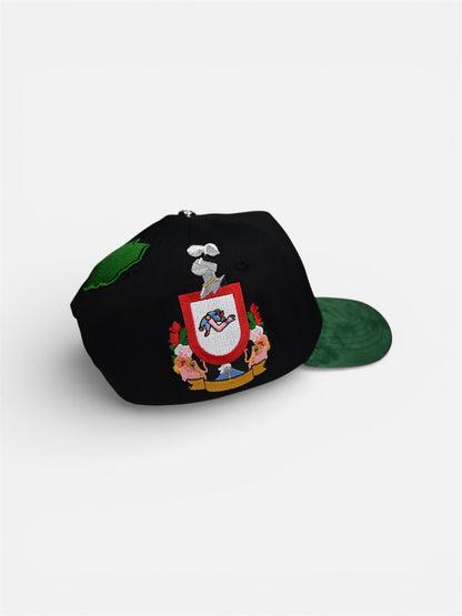 PERICOS DE COLIMA 🦜🌋🥥🌴